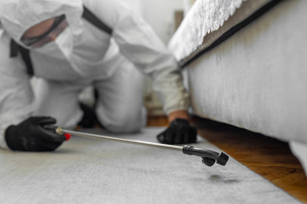 Professional Ant Control technician working in Forestdale, MA